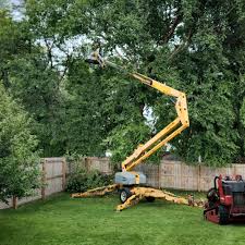 Best Tree and Shrub Care  in Coon Rapids, MN